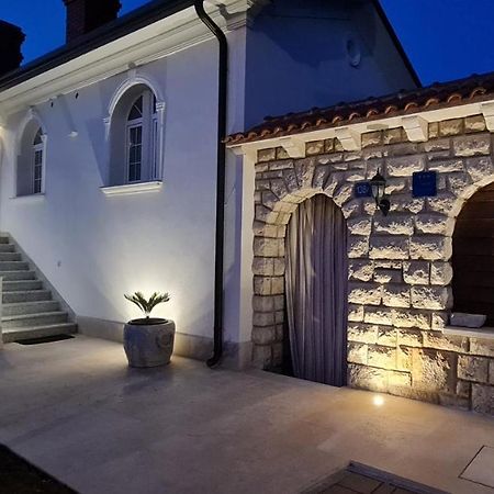 Holiday Apartment Villa Bianca Pazin Bagian luar foto