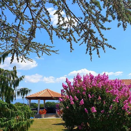 Holiday Apartment Villa Bianca Pazin Bagian luar foto