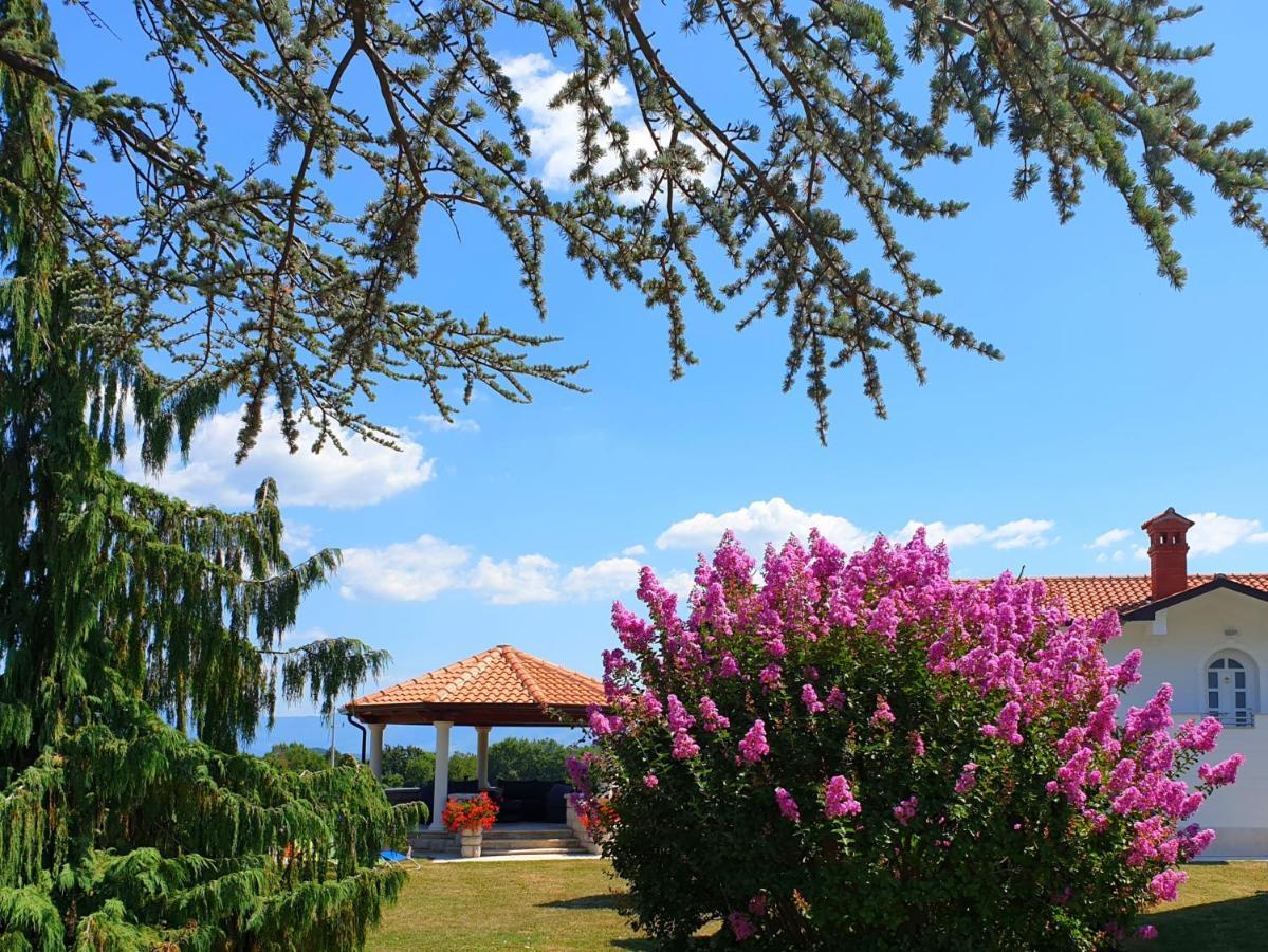 Holiday Apartment Villa Bianca Pazin Bagian luar foto