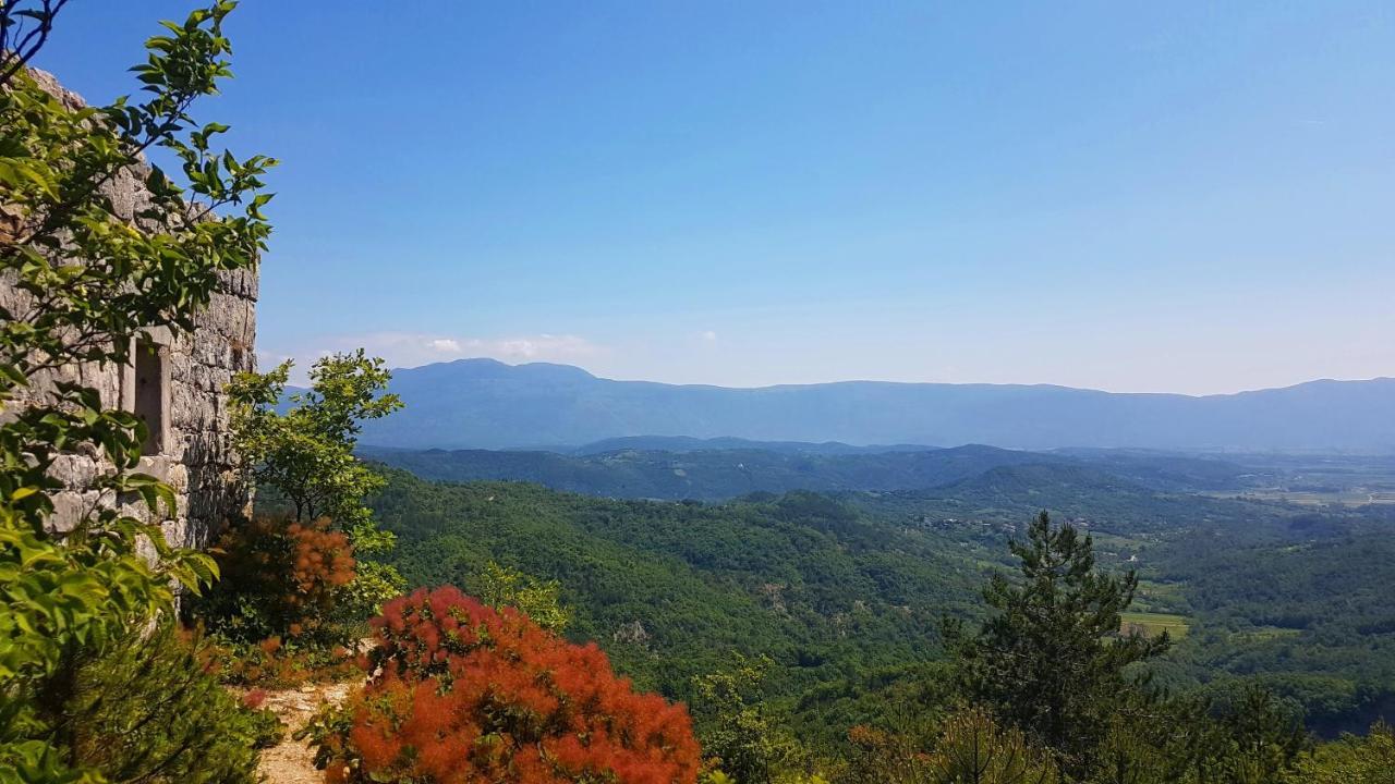 Holiday Apartment Villa Bianca Pazin Bagian luar foto