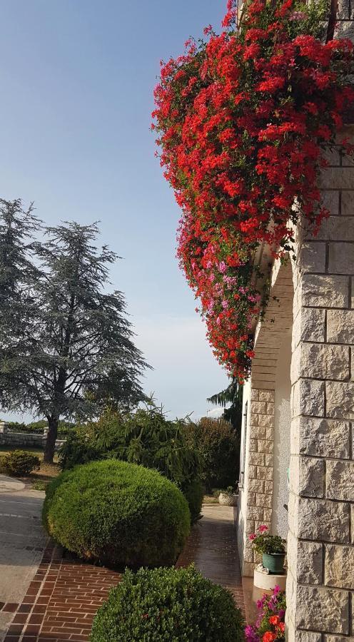 Holiday Apartment Villa Bianca Pazin Bagian luar foto